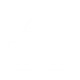 Government Icon