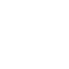Real Estate Icon